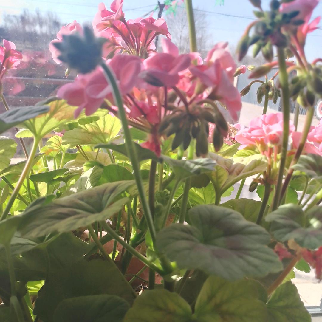 快乐人生1187741308841427