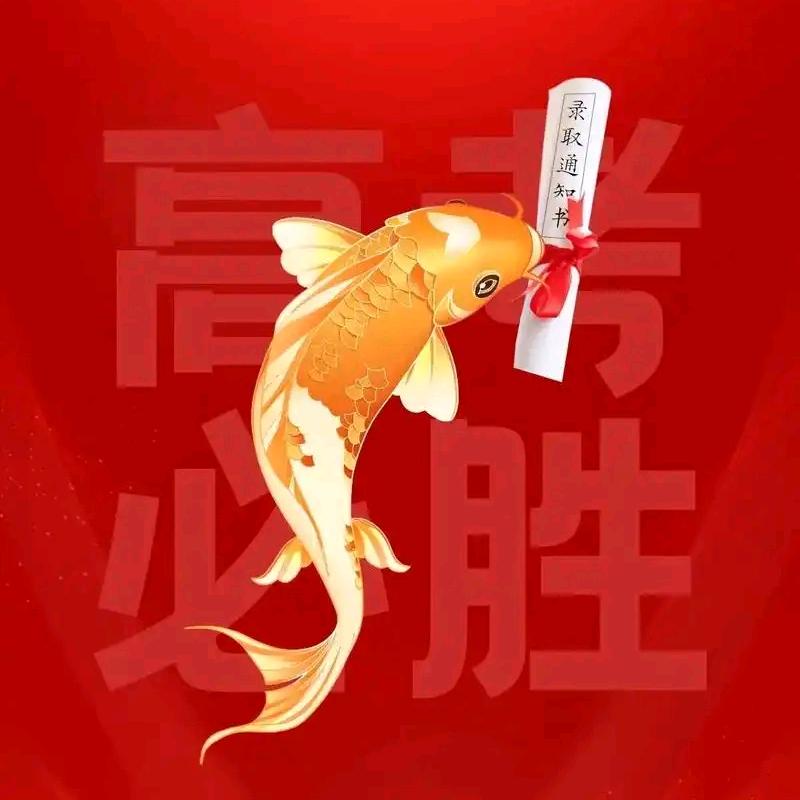 高考升学规划