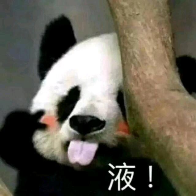 CFHD猫猫