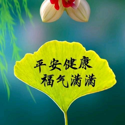 🍎平安健康