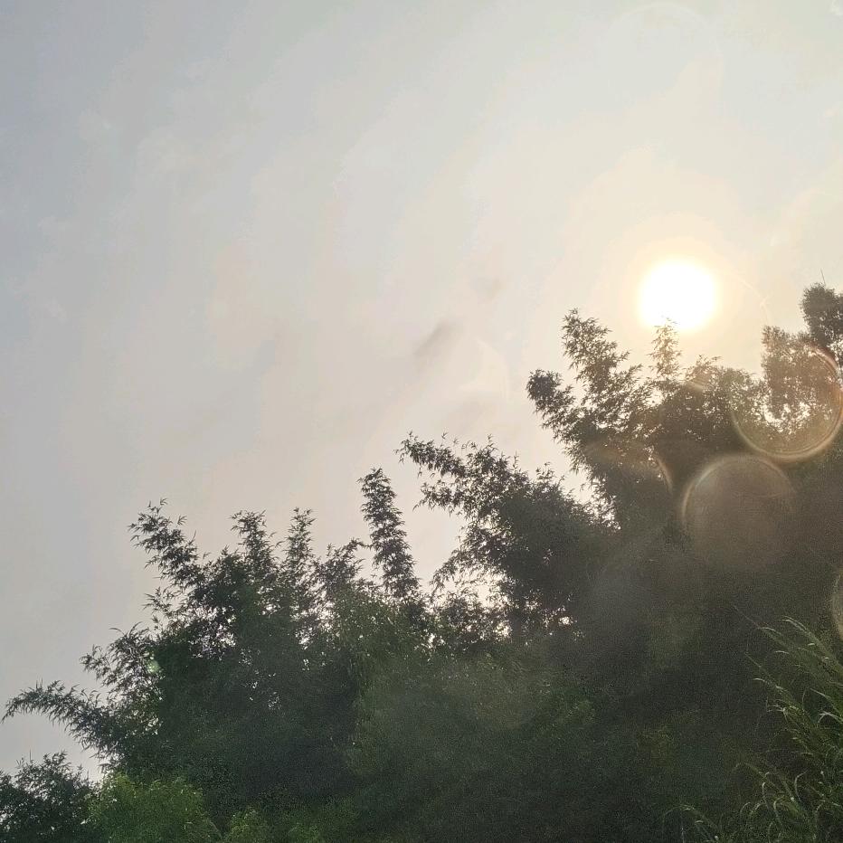 🌸@奥特曼打小怪兽 🙊