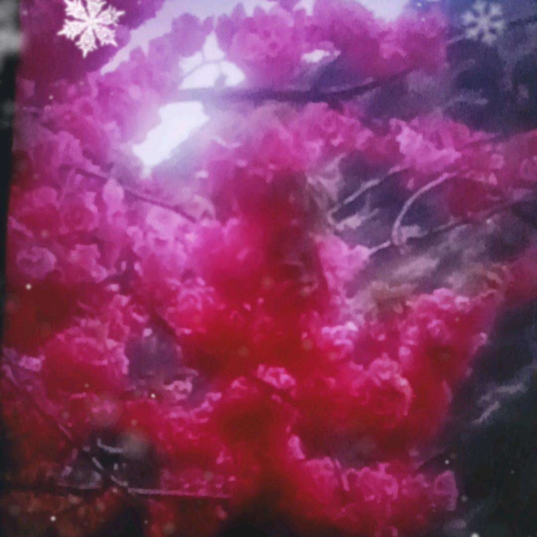 普米扎西