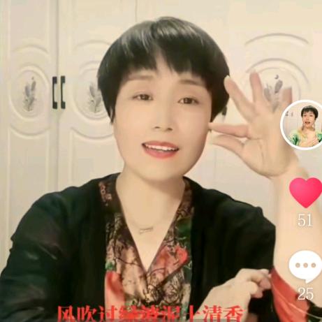 红叶*