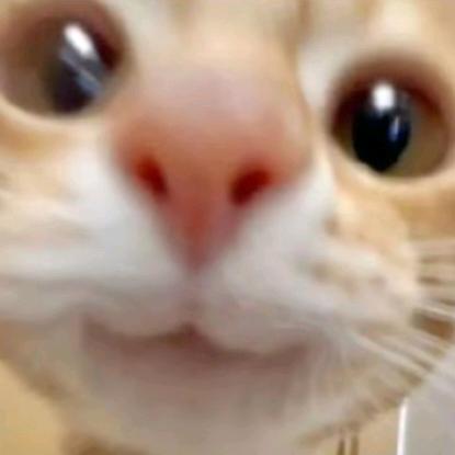 香香软软的红烧肉