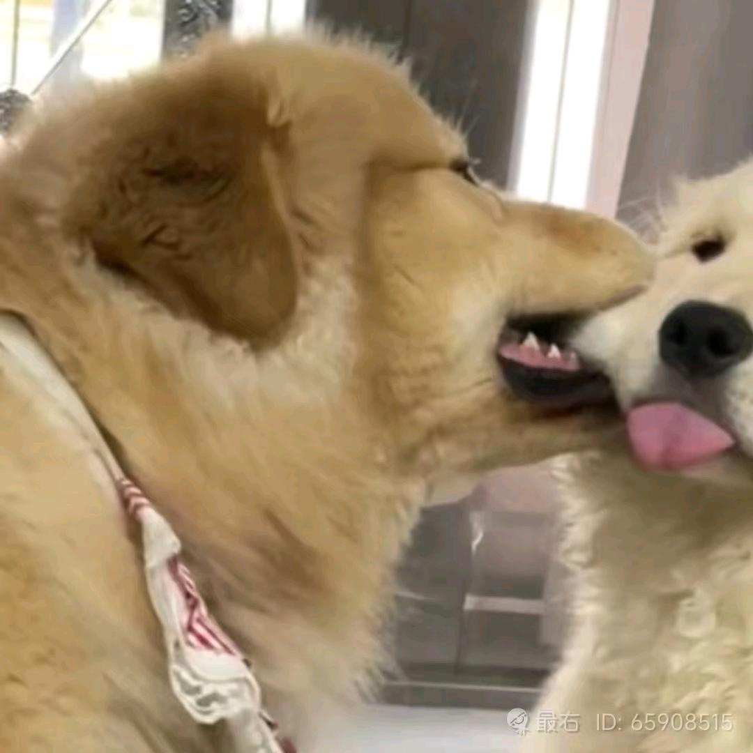南巷北