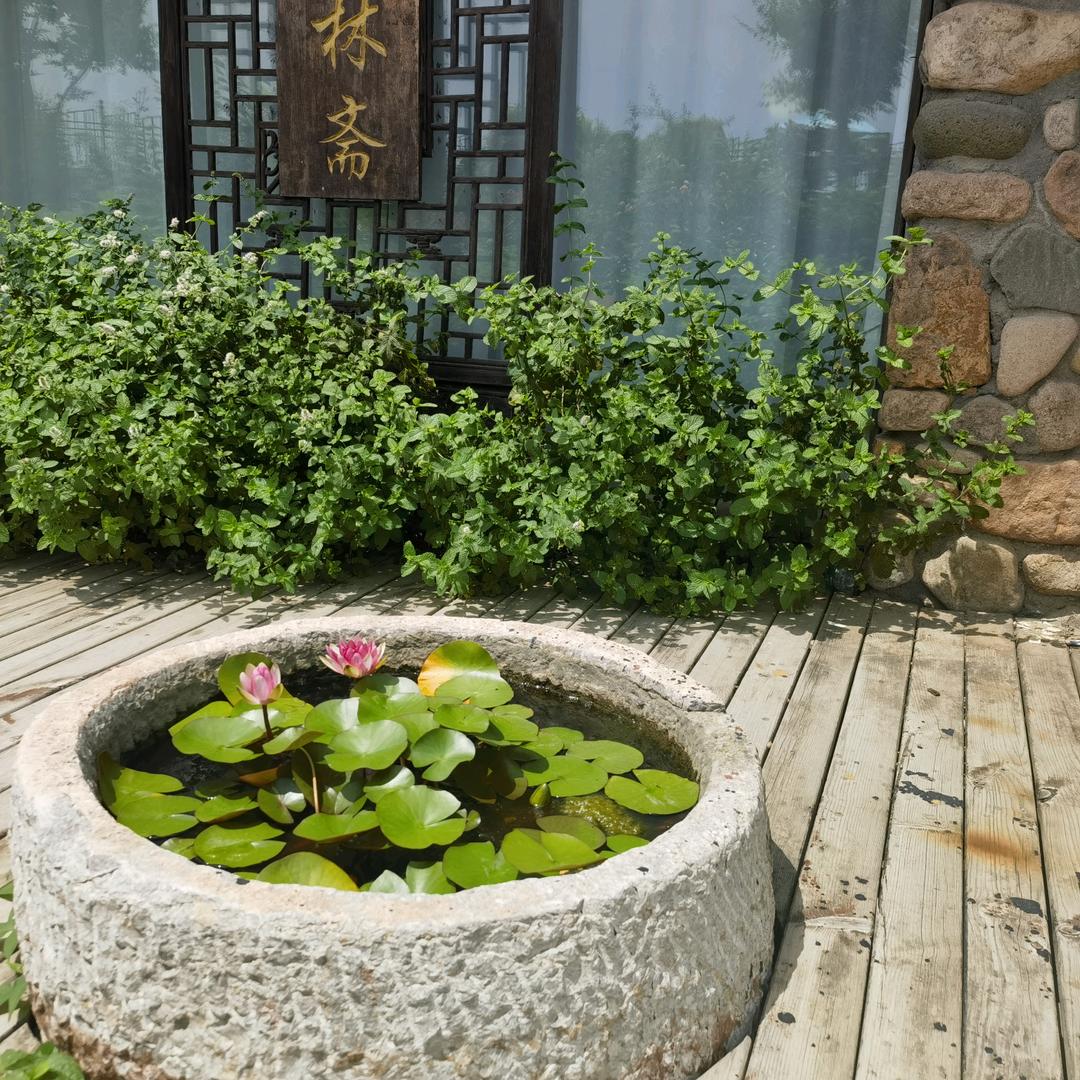 爱我中华，爱我家园