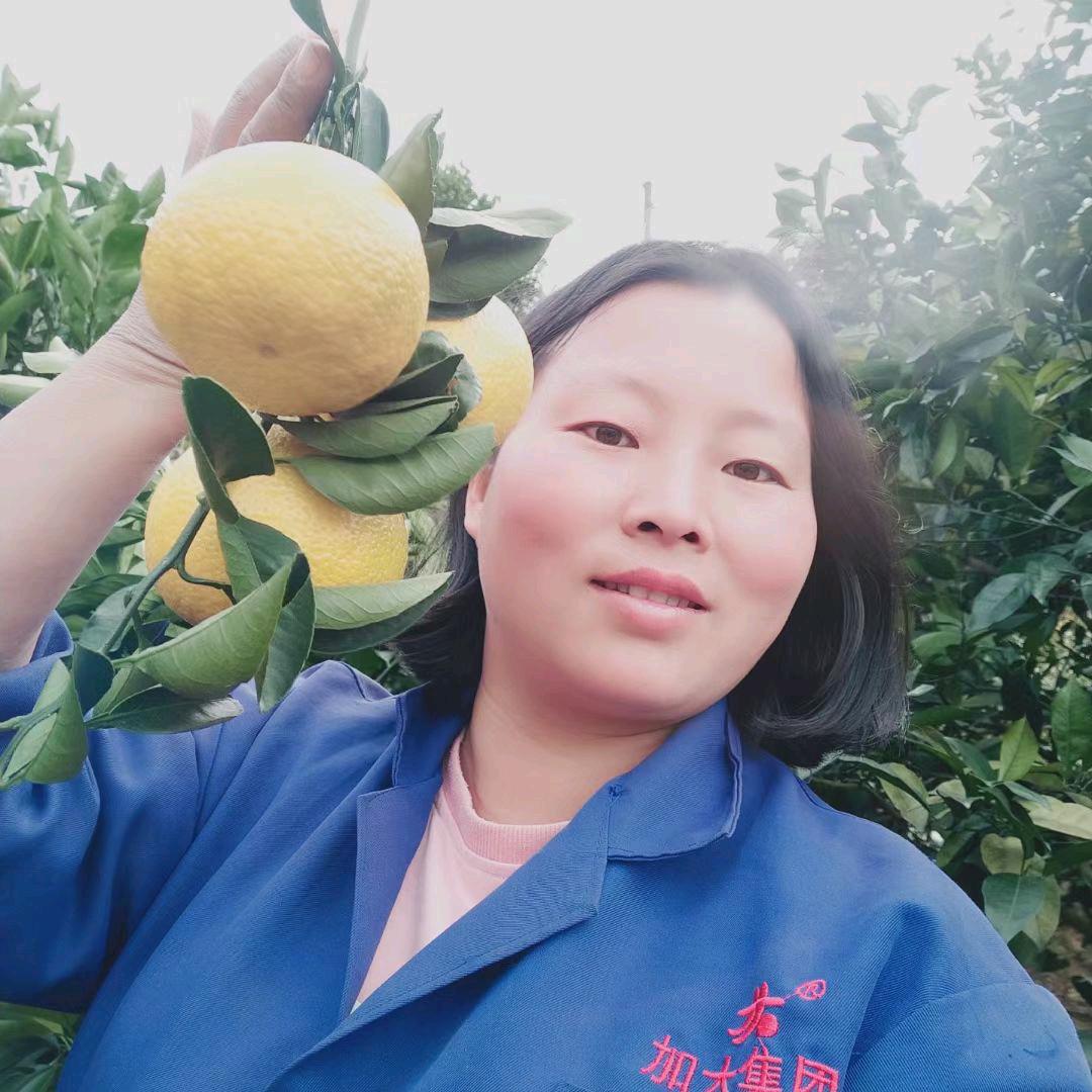 人间清醒文小姐