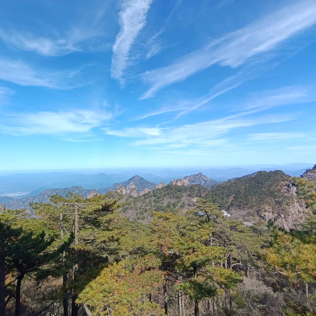 山间木石有间店