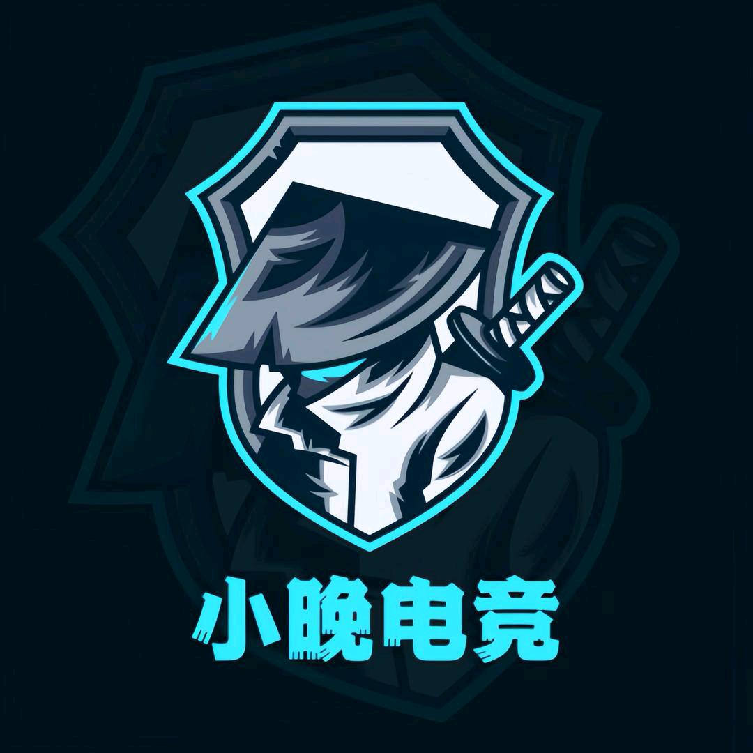 小晚工作室（全网最低价工作室）