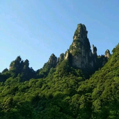 润科包装材料有限公司