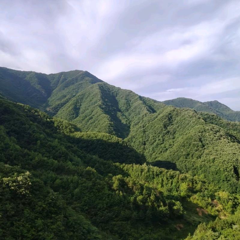 杨加兵