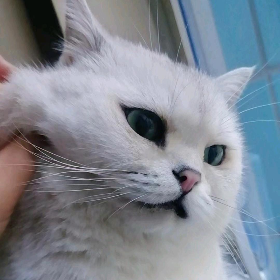 我是i人不要点我名