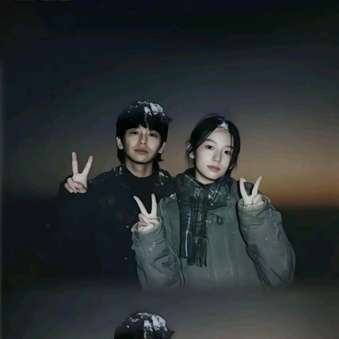 舒中自有皇金乌