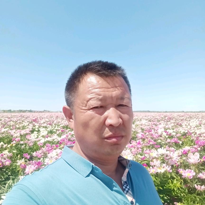 只为遇见你
