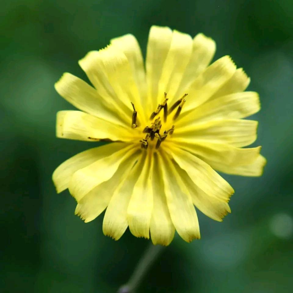 金立家电工厂店