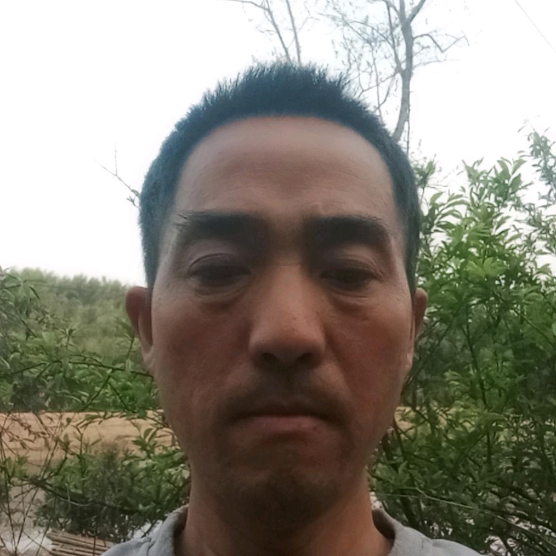石上流(单身)