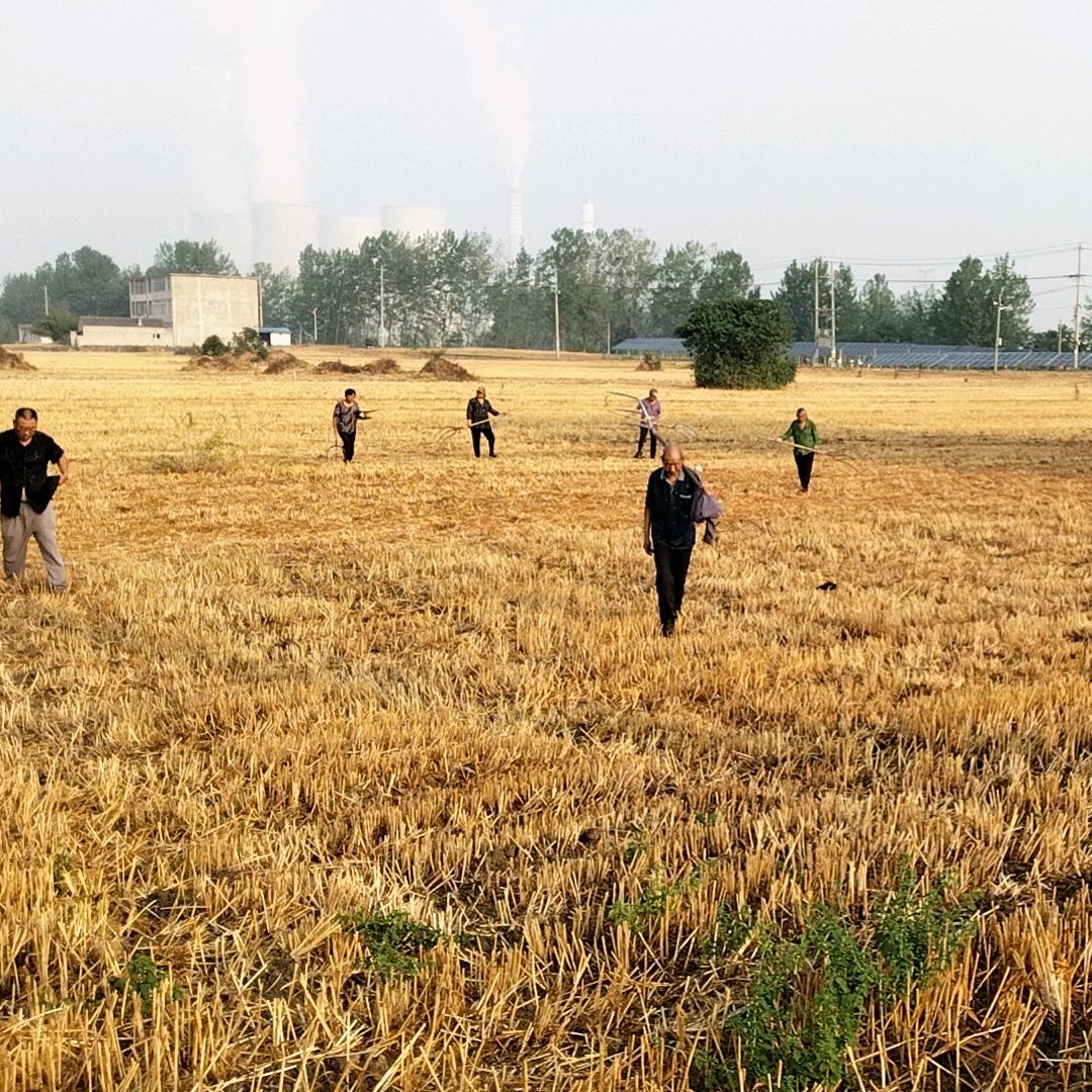 农村大叔的生活