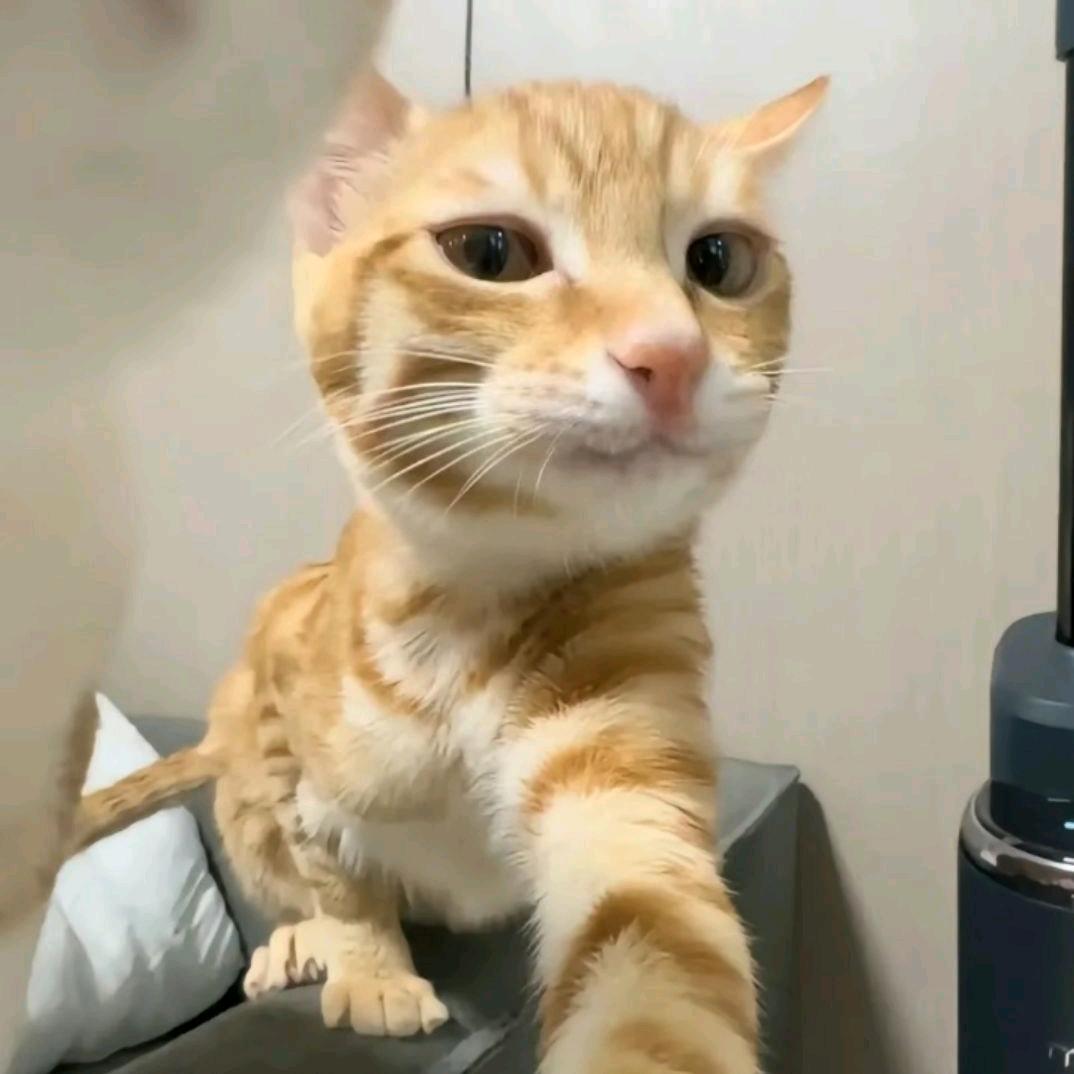 斯比克～