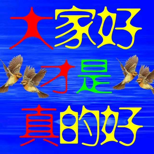 18姐