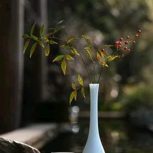 _小盏月