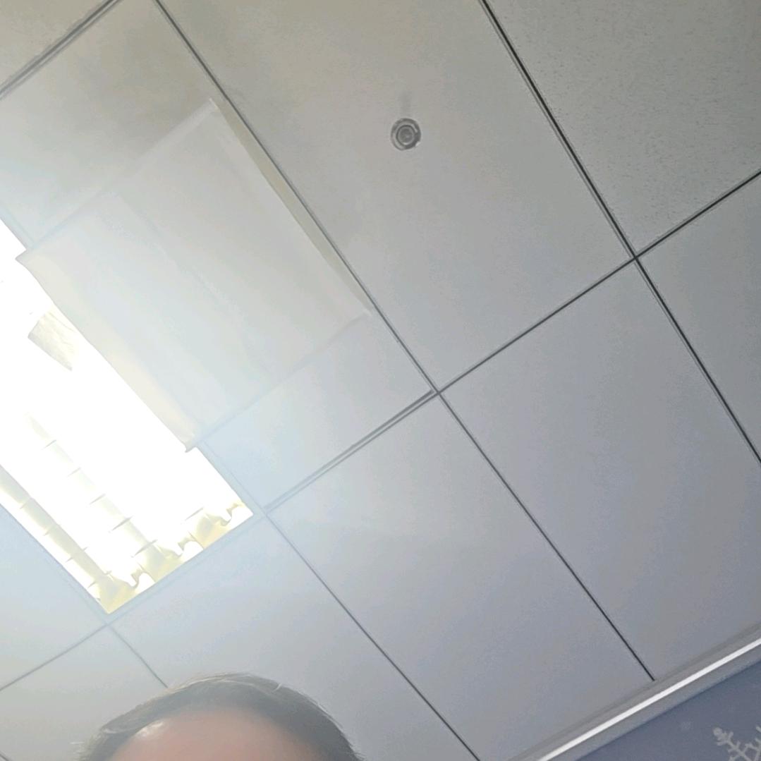 老贝