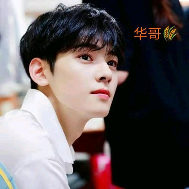 华哥💫广西仔～