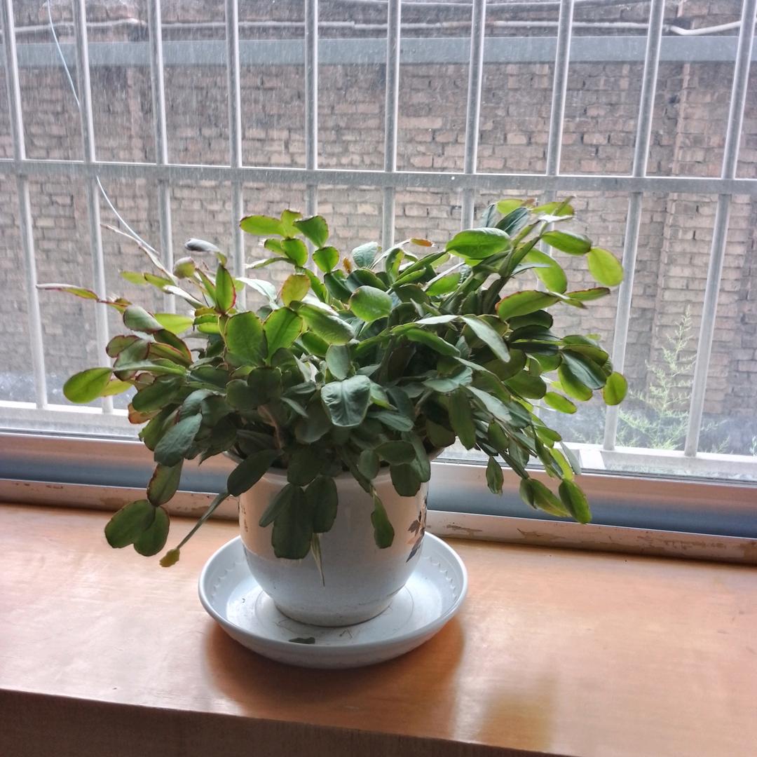 奋斗吧