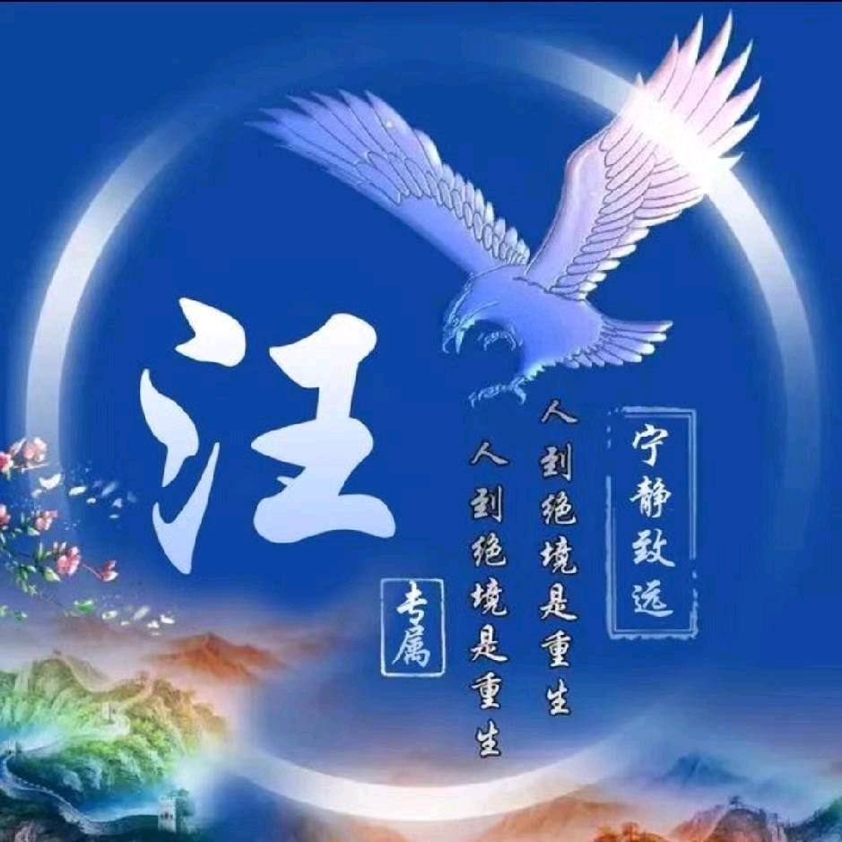 菜鸟你别走