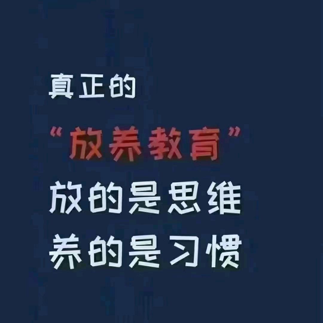 半夏时光