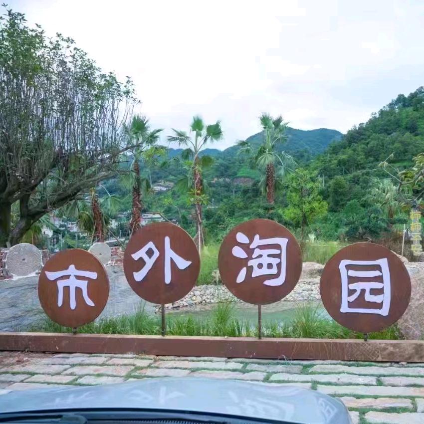 淘园植物与多元商品精选