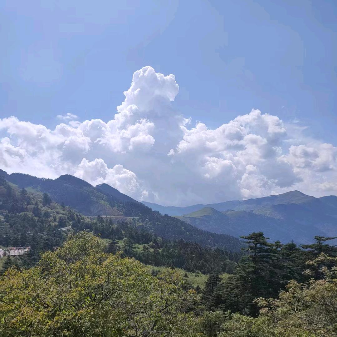 武功秘籍