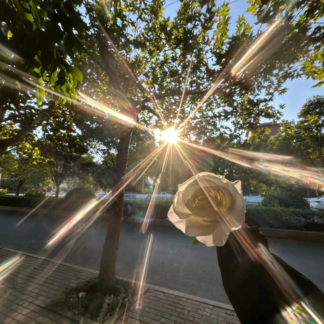 梦楠ヾ(❀╹◡╹)ﾉﾞ❀~