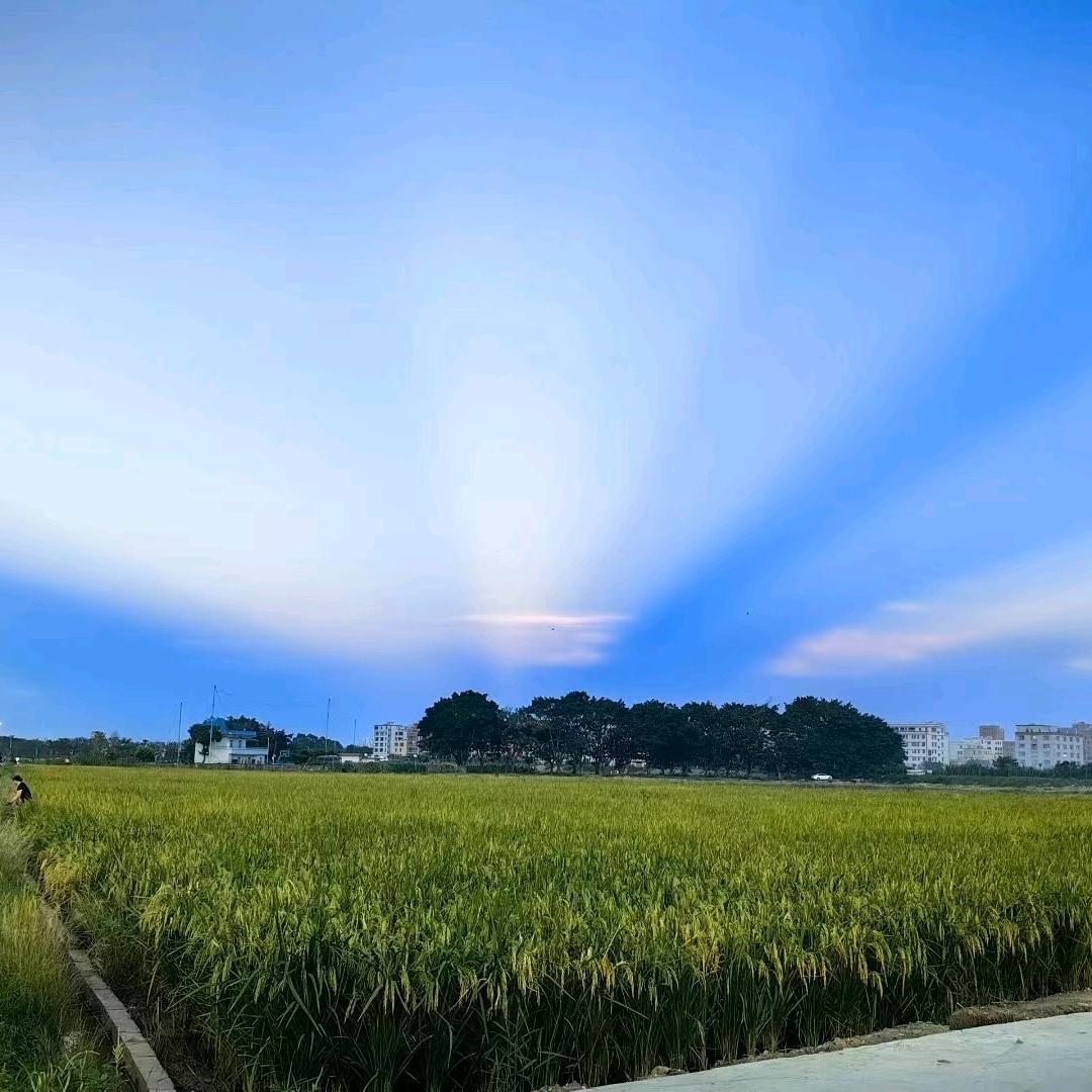 航宝
