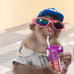 做个小传媒_鹏鹏