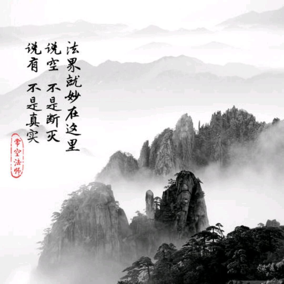 残羽归墨