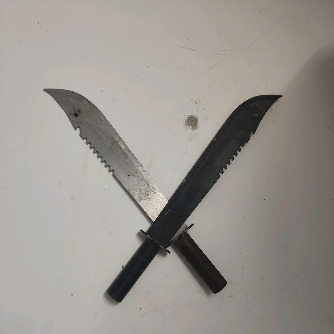 波哥养李