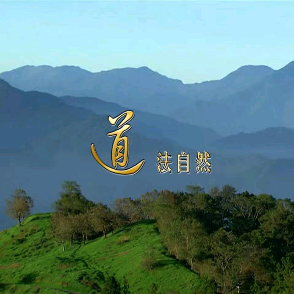 顺从自然