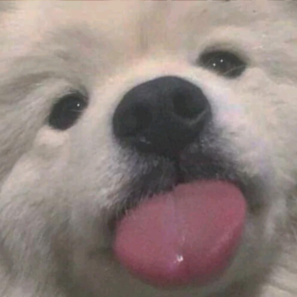 7oo novecane