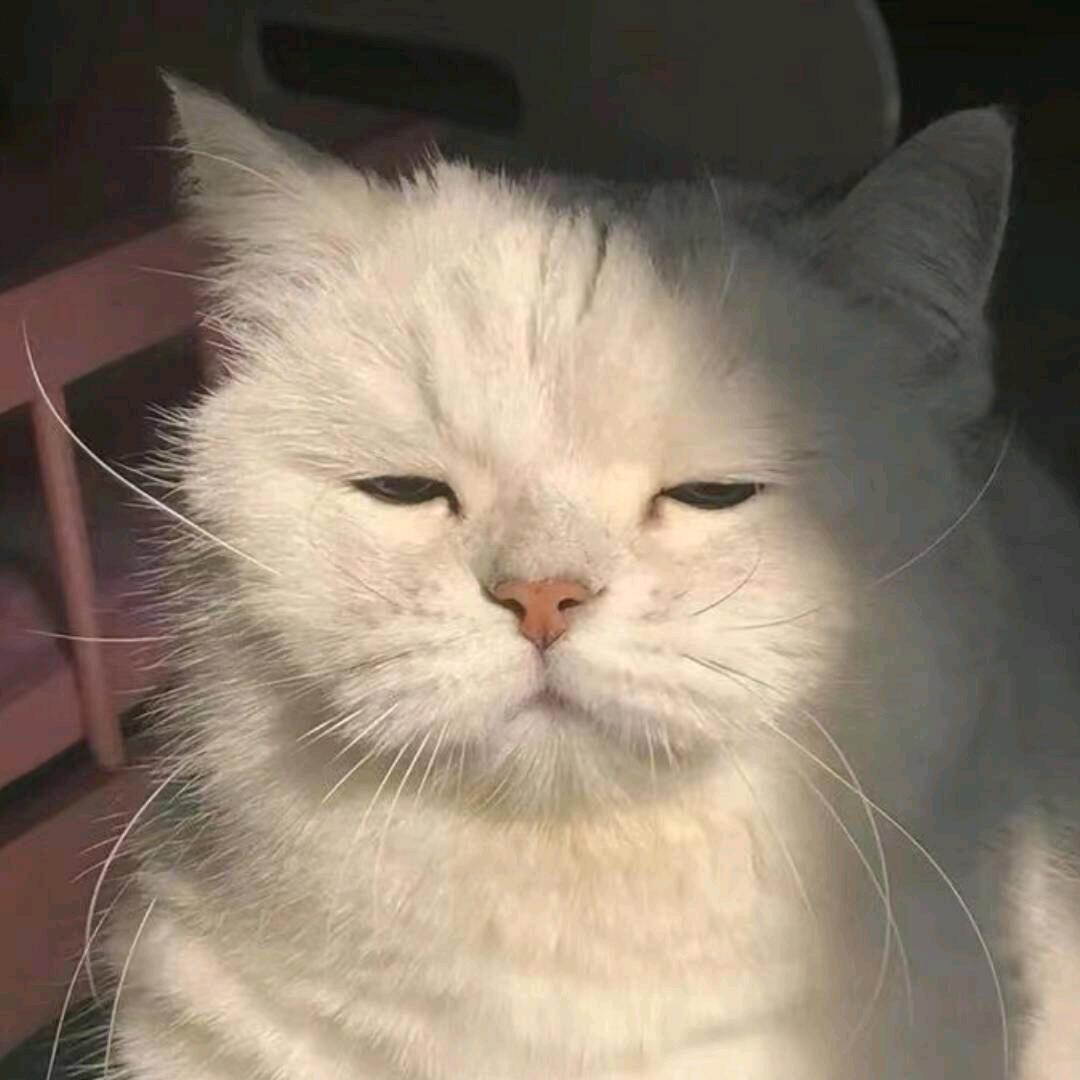想念不如私念