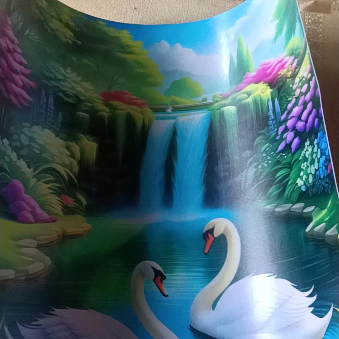 龙虎天涯