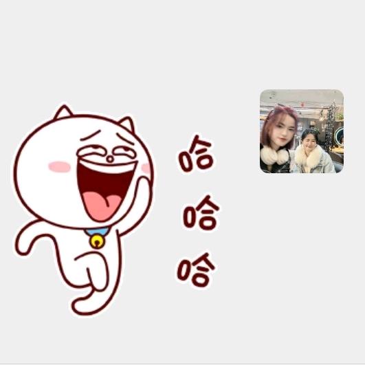 属鱼