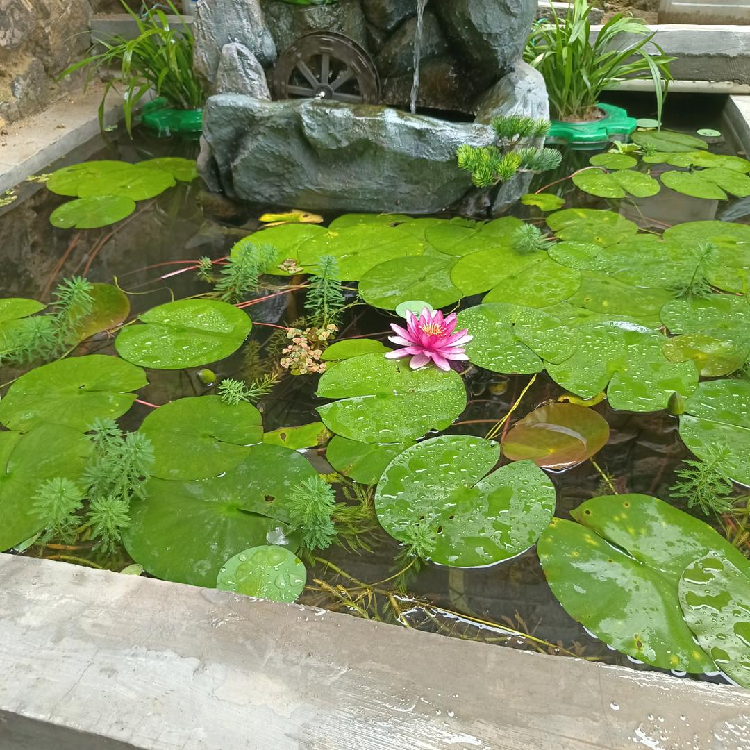 醒悟人生