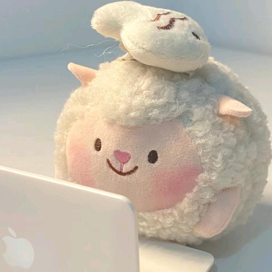 红烧小肥🐏