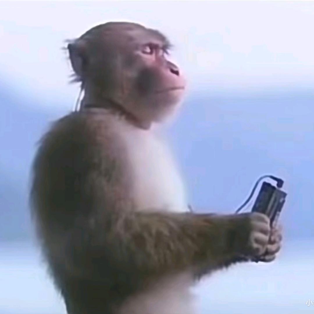 开心的大母猴