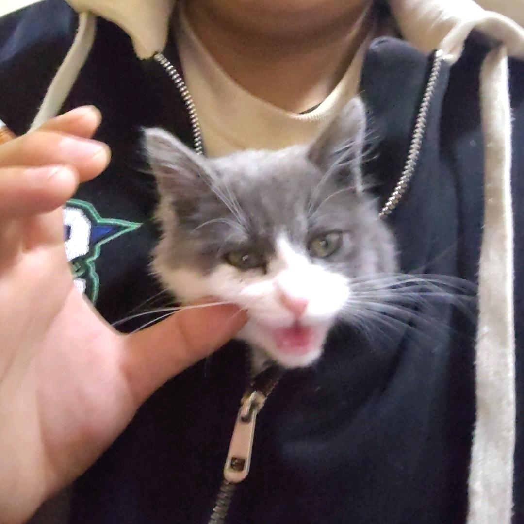 经典烟男✅已认证💯