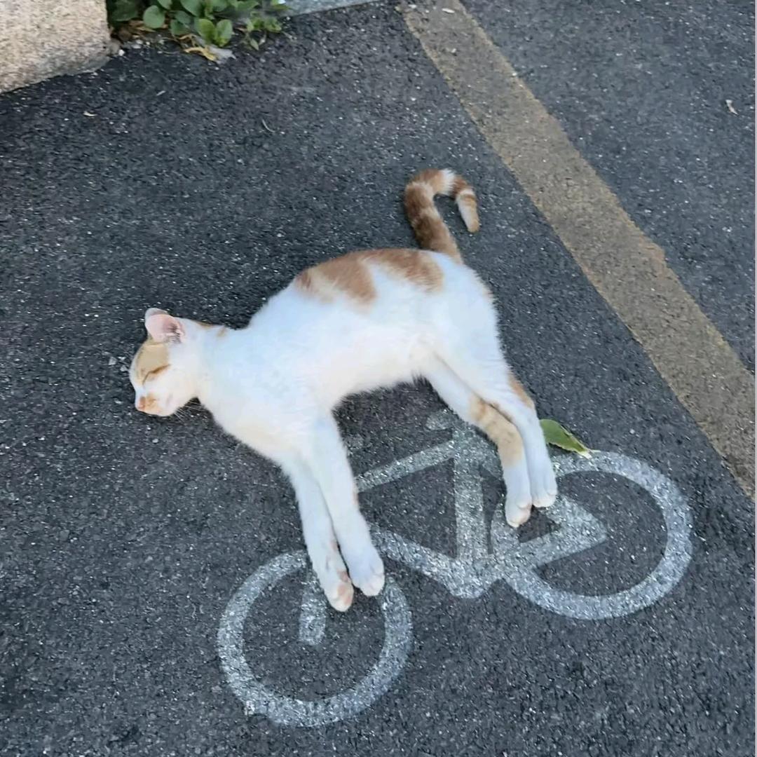啊！？