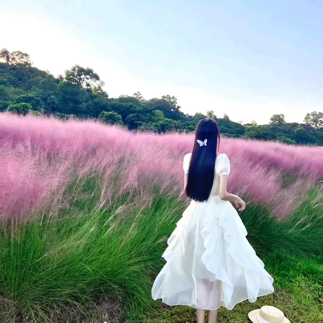 甄选分享日记