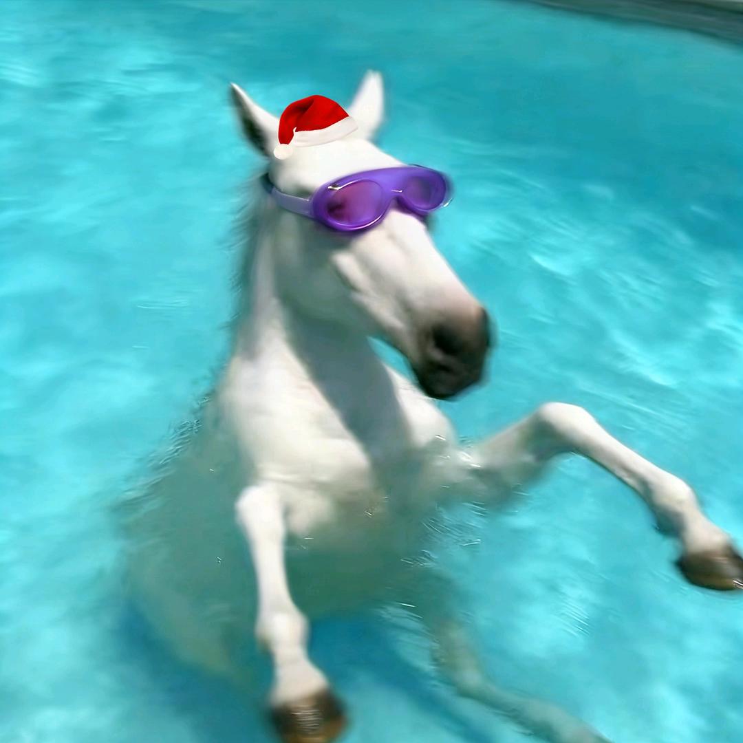 𝘼𝙪𝙜𝙪𝙨𝙩