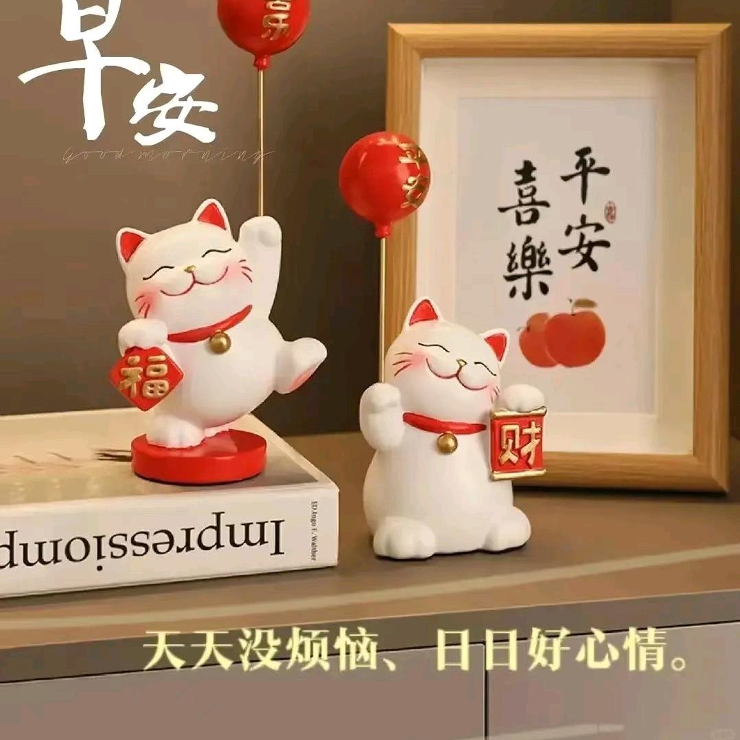 养猪找智慧（橱窗有好物）