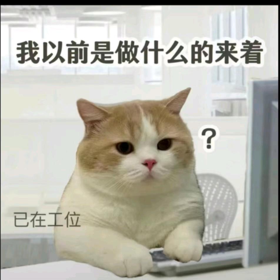 花花♥